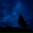 lonely.