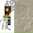 Yin Xia