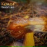 XenoFi, KatrinBetta, Shawn North