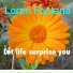 Loren Fontana