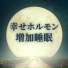 月灯かり就寝