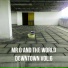 Mr O and The World