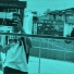 RAFELL