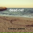 Calming Cadence