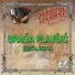 Braca Plavsic