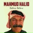 Mahmud Halıd