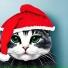 Greycat