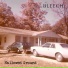 Bleech