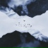mockfly