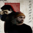 Dyl4n, Lounoir