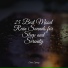 Spa & Spa, Ambient Music Therpy, Rainy Sounds