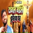 Santosh Chauhan