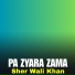 Sher Wali Khan