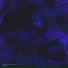 RVMZES, JUGHEAD feat. MAYOT, SEEMEE