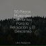 Naturaleza, Música Relaxante, Piano para Dormir
