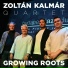 Zoltán Kalmár Quartet
