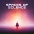 Symphony Orchestra Meditation And Relaxation