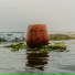 Ghaitsa Kenang