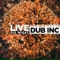 Dub Inc
