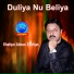 Shafqat Abbas Shafqat