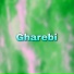 Hashmat Amin Marwat