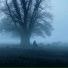 lonelyss, forgotten dreams