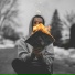 VSLSK
