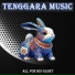 DJ Tenggara