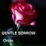 Ordin