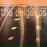 The Delgados