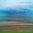 Armiente