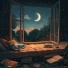 Mikrobro, Lofi Sleep Chill & Study