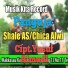 Shaleh AS, Chica Alwi