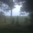 forlorn