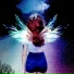 23inchwings