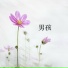 华敏