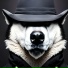 Husken