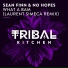 Sean Finn & No Hopes