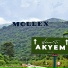 MOLLEX