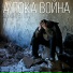 Андрей Оршуляк