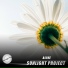 Sunlight Project