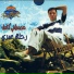 Mostafa Kamel