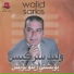 Walid Sarkiss