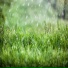 雨声催眠曲