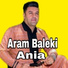 Aram Baleki