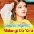 Zeeshan Marwat