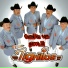 Los Tigrillos
