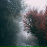 Zona Música Relaxante, Meditação Maestro, Ambiente