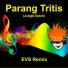 EVS REMIX