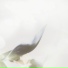 Requiem, Simon McCorry